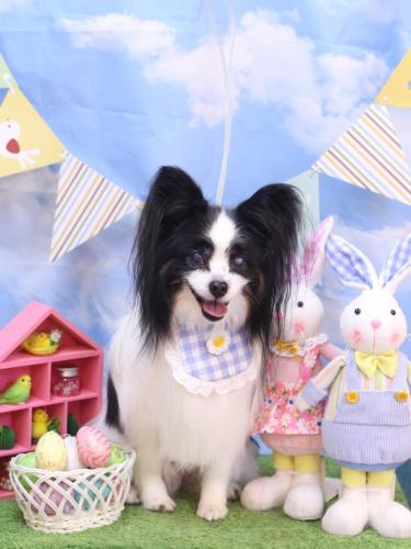 20240316トトくん